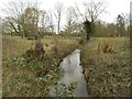 The Bourne: Looking upstream from the Broadford Lane bridge in Chobham