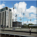 Many cranes, Elephant and Castle