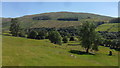 NY4002 : Pasture at Troutbeck by Anthony Foster