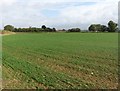 Arable land near Closworth