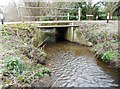 The Bourne: Beldam Bridge in West End, Chobham