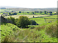 Bents Lane just below Mount Haley (2)