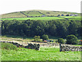 Upper Weardale below Mount Haley