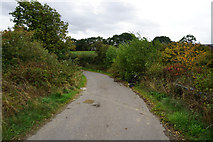 SK4689 : Doles Lane towards Upper Whiston by Ian S