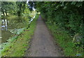 Towpath along the Lancaster Canal