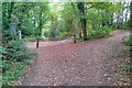 Path through the woods, Kingsley Common, Hampshire - 140918