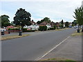 Houses on Warren Road