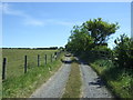 NZ1126 : Track to Haggerleases Farm by JThomas