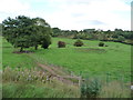 Public footpath to Walmersley