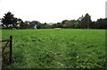 Field on the west side of Frome Lane, Maiden Newton