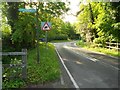 Egham: Prune Hill road with Migratory Toad Crossing warning sign