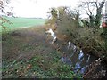 TL2822 : River Beane next to Holbrook Farm by Nigel Cox