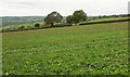 Field near Elton Farm