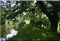 Towpath along the Lancaster Canal