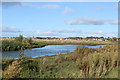 Wetland at Doonfoot