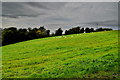 A sloping field, Garvaghy