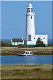 SZ3189 : Hurst Point lighthouse and ferry by David Martin