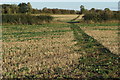 Bridleway towards Ilett