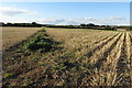 Bridleway to Radstone Road