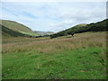 NY4415 : Rough grazing below woodland in Ramps Gill by Christine Johnstone