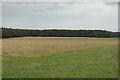 Grass field at Low Hockett