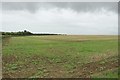 Arable field north of Hocketwell