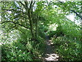 Trackbed of former Taunton to Barnstaple Railway