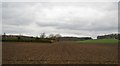 Ploughed field