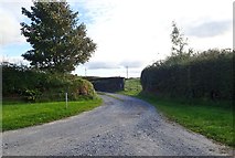 H9113 : Farm access lane running south from the Lissaraw Road, Crossmaglen by Eric Jones