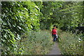 Footpath passing cemetery