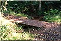 Footbridge in Deadwater Valley LNR, Bordon, Hampshire - 170918