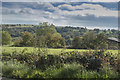 Lush farmland