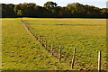 Fence across fields near Hilberry Farm