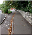 Cycle lane and pavement, St John