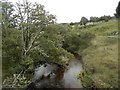 NH6733 : River Nairn near Tordarroch by Douglas Nelson