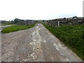 Driveway to Bayles Farm