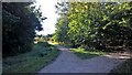 Paths in Rushcliffe Country Park