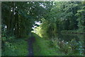 Lancaster Canal at Town Croft Wood