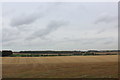 Farmland North East of Lotherton Hall