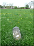 R4099 : Site boundary stone at Kilmacduagh Monastery by Humphrey Bolton