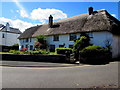 Grade II listed row of three thatched cottages, Longmeadow Road, Lympstone