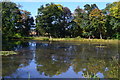 Trees reflected in Melchet Pond