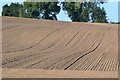 Newly tilled field