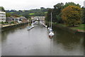 The Dart from Totnes Bridge