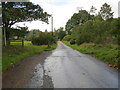 Road approaching Larchfield