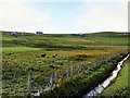 Ditch, Hill of Houlland