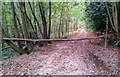 TQ5233 : Gate in Woodland, Bream Wood, East Sussex - 300918 by John P Reeves