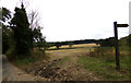 Field Entrance off Nightingale Hall Road