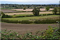 View across fields at Birchanger Farm