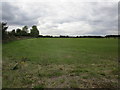 Field north of Oakham Farm